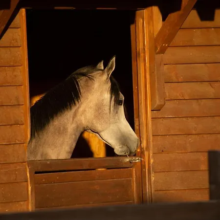 Sancho Farm Albania * Memaliaj