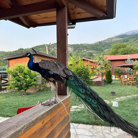 Sancho Farm Albania Memaliaj