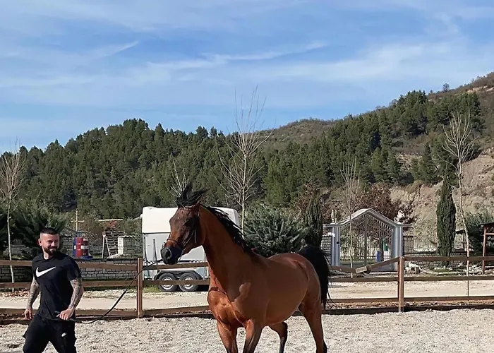 Sancho Farm Albania Willa *