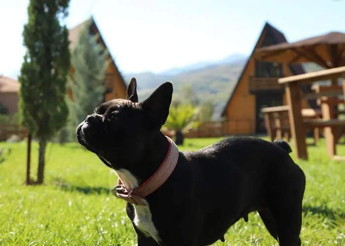 Willa Sancho Farm Albania