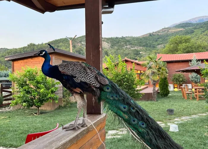 Sancho Farm Albania Memaliaj