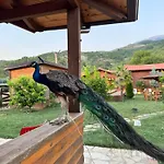 Sancho Farm Albania Memaliaj