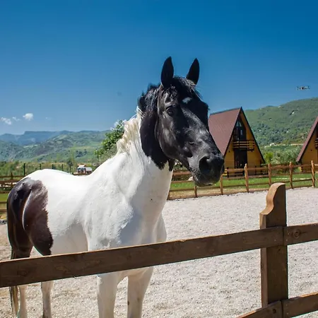 וילה Sancho Farm Albania *