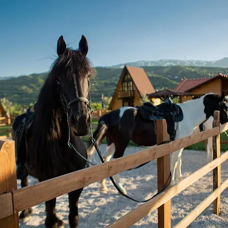 Villa Sancho Farm Albania *