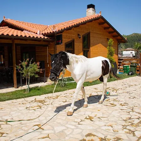 Sancho Farm Albania Villa *