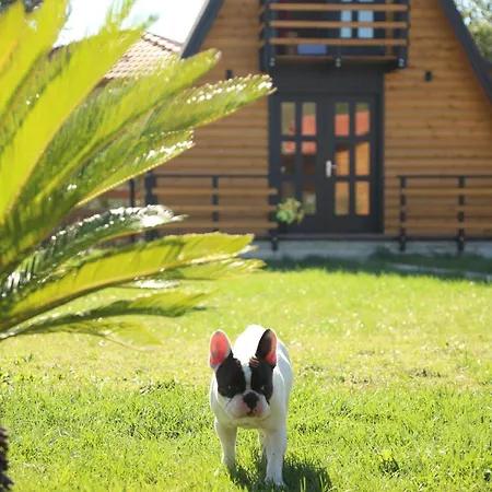 Sancho Farm Albania Villa