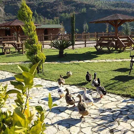 Sancho Farm Albania וילה