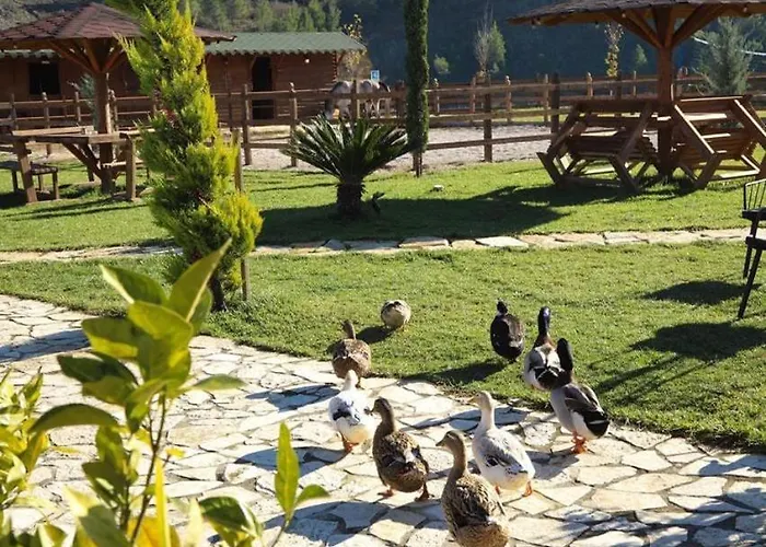 Sancho Farm Albania Villa